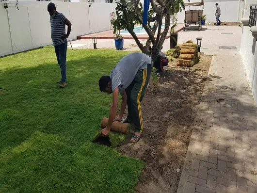 Arid View Landscaping LLC | Buildeey