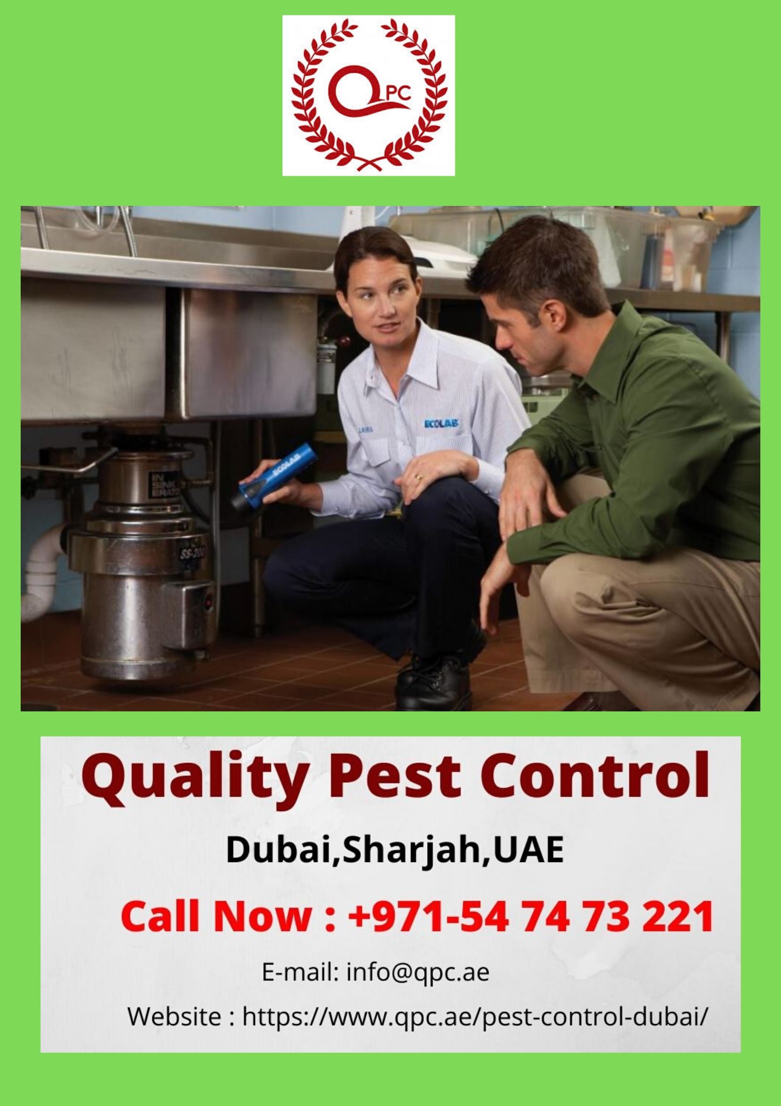 Quality Pest Control Dubai Uae In Uae Dubai Buildeey