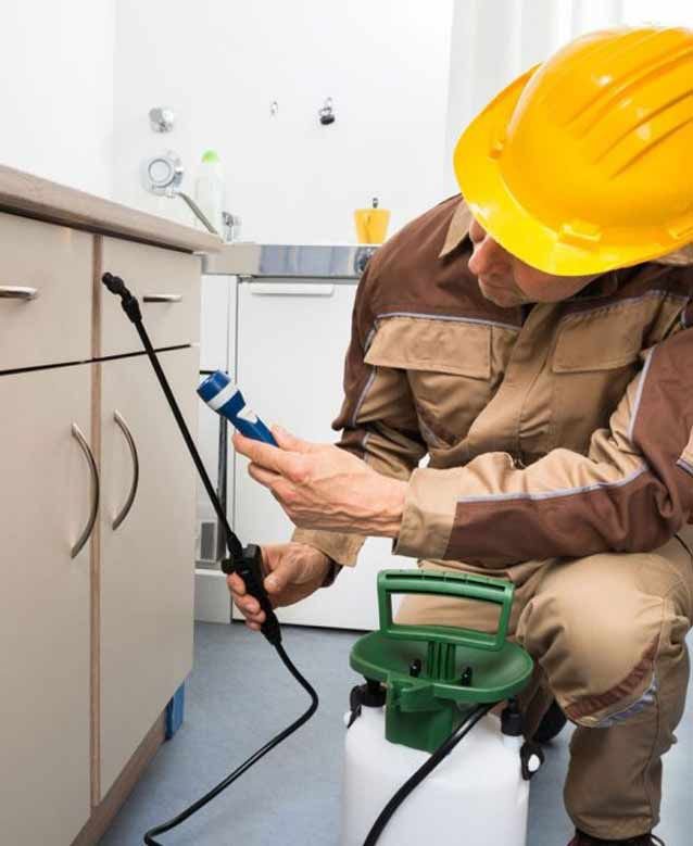 Quality Pest Control LLC Buildeey