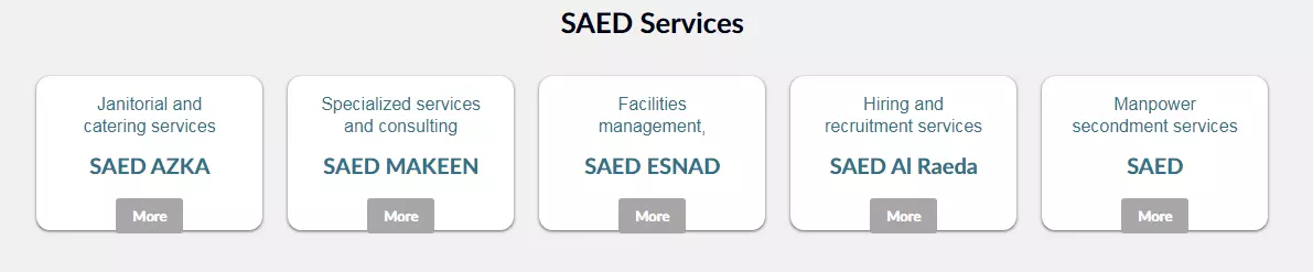 SAED International | Buildeey