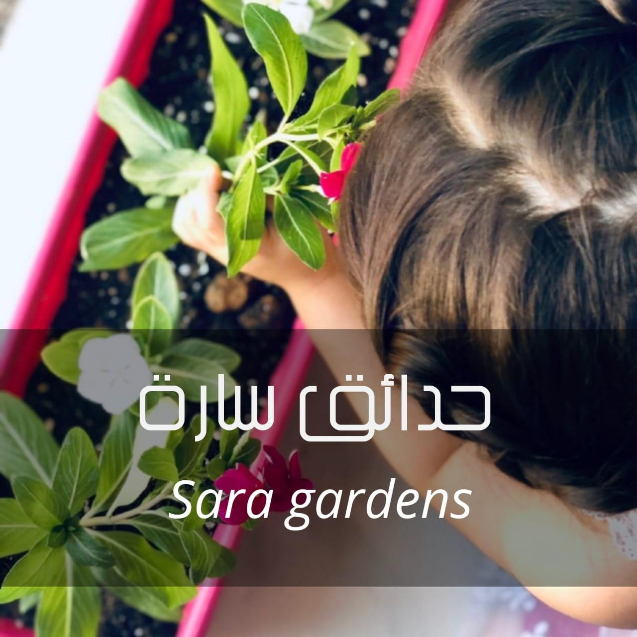 Sarah gardens | Buildeey