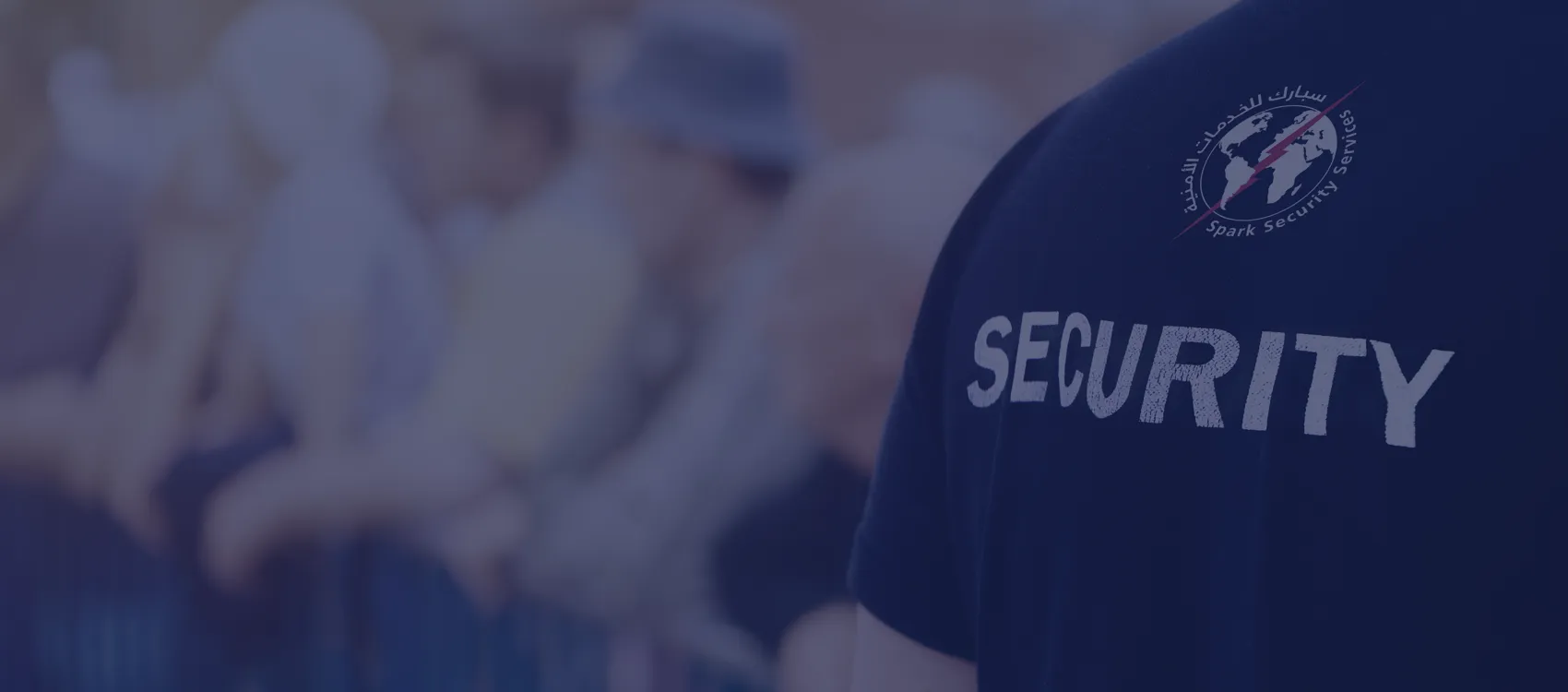 SPARK SECURITY SERVICES | Buildeey