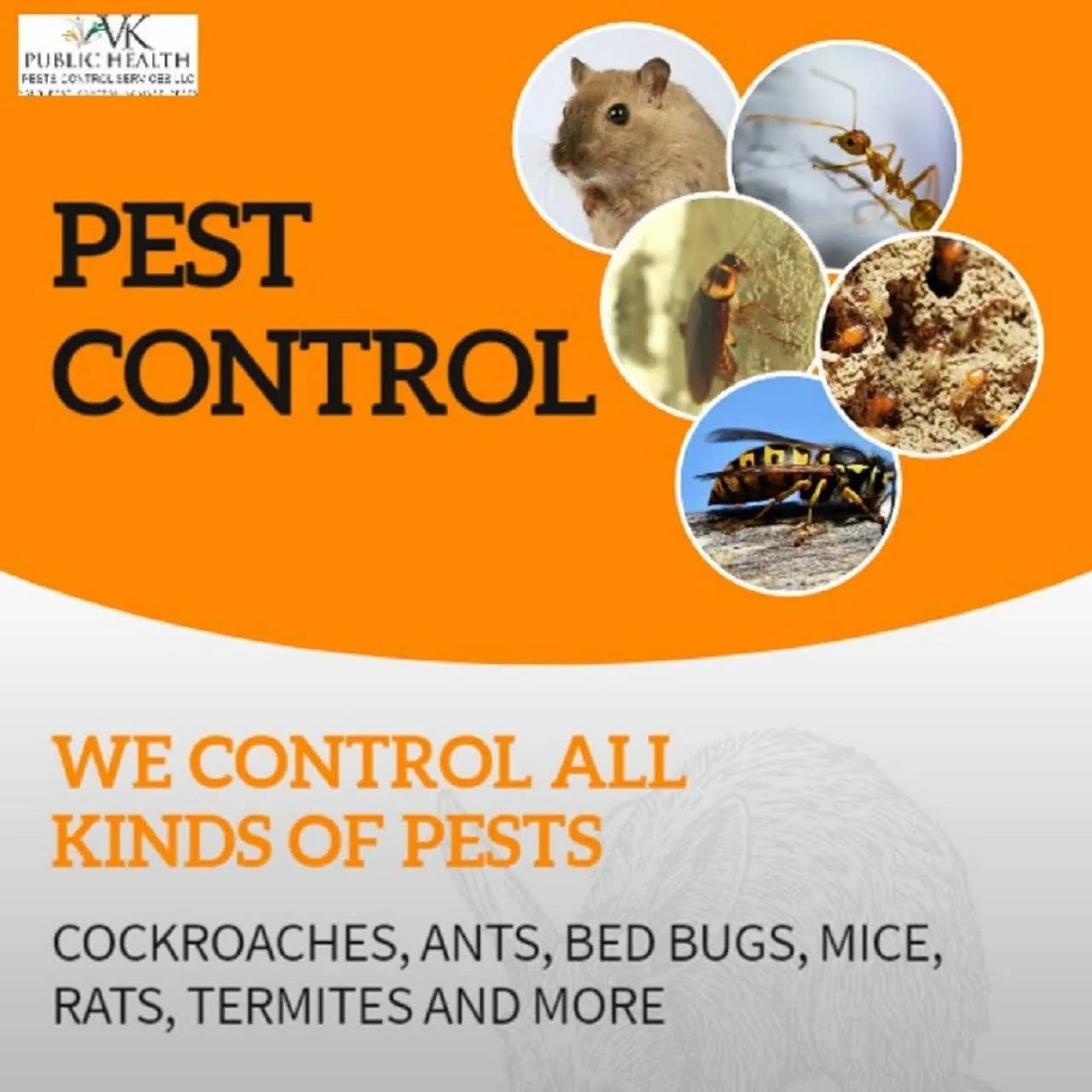Vinay Kumar Public Health Pests Control Services LLC Buildeey